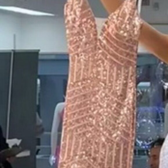 Jasz Couture Nude Copper Sequin Tulle Skirt Mermaid Gown - Picture 5 of 6